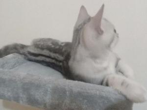 拌雨
